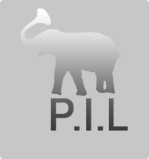 P.I.L